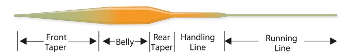 классификация нахлыстового шнура