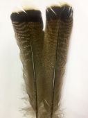 изображение Индюшиные хвостовые перья Cinnamon Flyfishalex 