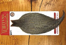 Маленькое изображение таблица цветов перьев скальпов и седел whiting Маленькое фото таблица цветов перьев скальпов и седел whiting