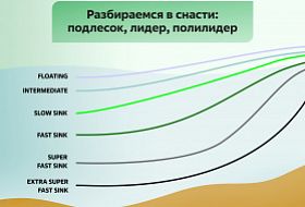 Маленькое изображение полилидер, монолидер, подлесок: что такое и как использовать Маленькое фото полилидер, монолидер, подлесок: что такое и как использовать