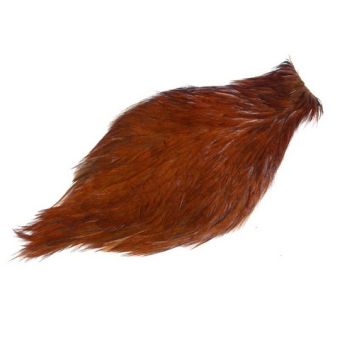 chinese-streamer-rooster-hazel-brown