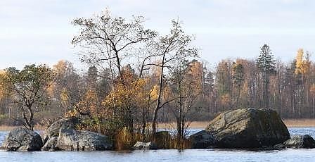 Осень на ловле щуки нахлыстом