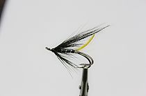 Cвязанная лососевая мушка в школе нахлыста flyfishalex.ru