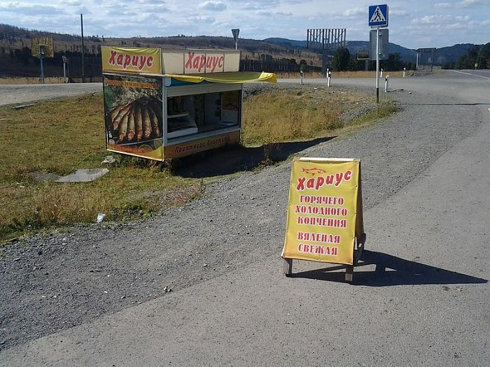 Горный Алтай по дороге в онголию продается только Хариус