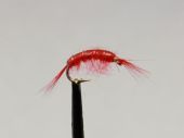 Skud red   изображение Skud red