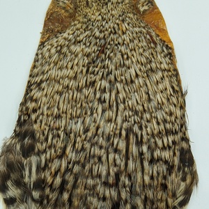 hends-cock-capes-grezzly