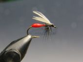 Мушка муравей Red Ant   изображение Мушка муравей Red Ant
