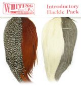 изображение WHITING Набор 4 половинки скальпов Introductory Hackle Pack 