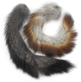 изображение Хвост сибирской белки Siberian SQUIRREL TAILS 