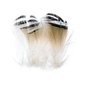 изображение Перья древесной утки Wood Duck Wapsi 