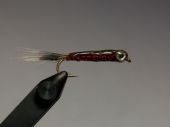 Red bait   изображение Red bait