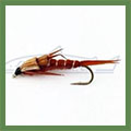 Веснянки Stonfly Веснянки Stonfly