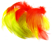 изображение Чирка отдельные перья TEAL DUCK FLANKS 