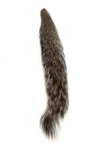изображение Хвост американской белки GRAY SQUIRREL TAIL 