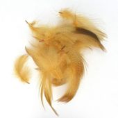 изображение Особо крупные грудные перья селезня Wapsi MALLARD BRONZE 