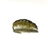 Skud olive   изображение Skud olive