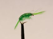 Skud green   изображение Skud green