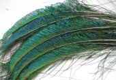 Мечевидные 2 пера павлина Flyinspector Peacock Swords   изображение Мечевидные 2 пера павлина Flyinspector Peacock Swords
