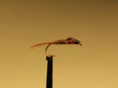 изображение pheasant tail copper 