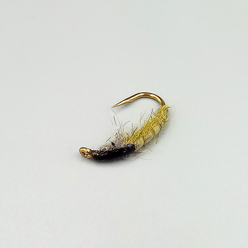 free-living-caddis.jpg