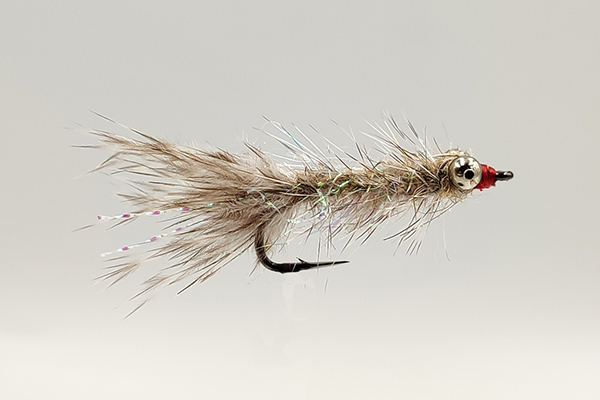 greyfred.jpg greyfred.jpg