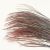 boar-ff-flyinspector-red
