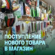 Поступление товаров в магазин