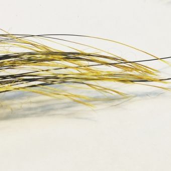 boar-ff-flyinspector-yellow