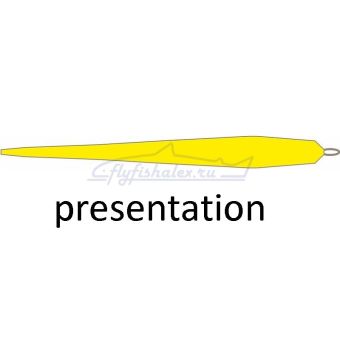 presentation-st-kola-salmon