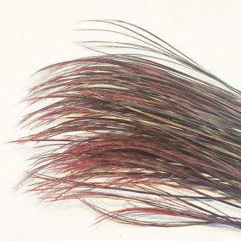 boar-ff-flyinspector-red