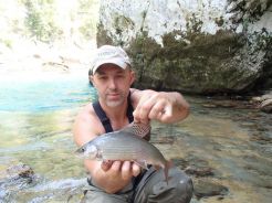 Черногория, Словения, Австрия, Хорватия Черногория, Словения, Австрия, Хорватия