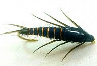 Нахлыстовые Нимфы Нахлыстовые Нимфы