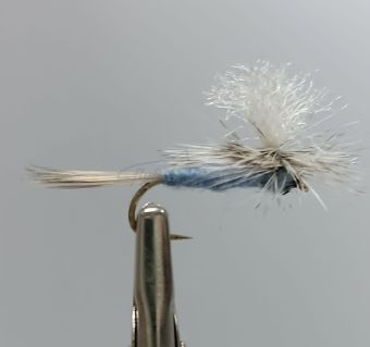 parachut lt gray