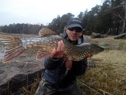 Большое фото рыбалка щуки нахлыстом или "щука слет" 2019