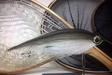 Вязание нахлыстовых мушек на щуку 16 матра 2019