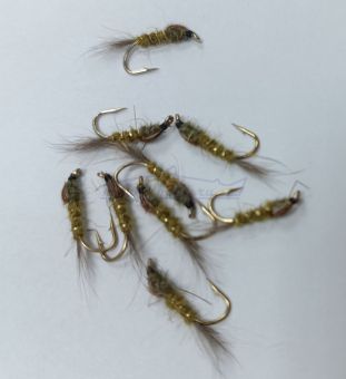 GRHE Olive
