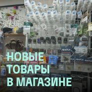 Новые товары в магазине