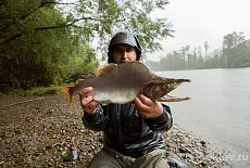 Хабаровский край Река Копи