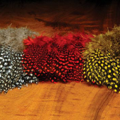 изображение Перо цесарки Guinea Feathers ORVIS 