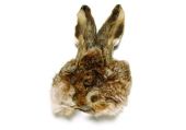 изображение HARELINE Маска зайца Hares Mask NATURAL Grade 1 