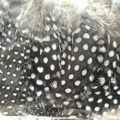 изображение Перья цесарки Strung Guinea Feathers Flyinspector 
